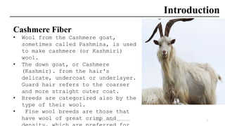 Cashmere Crimp Textile raw material_presentation_0088.pptx