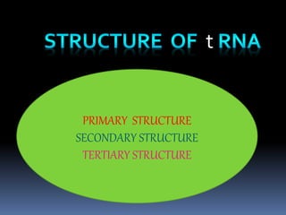 t
PRIMARY STRUCTURE
SECONDARY STRUCTURE
TERTIARY STRUCTURE
 