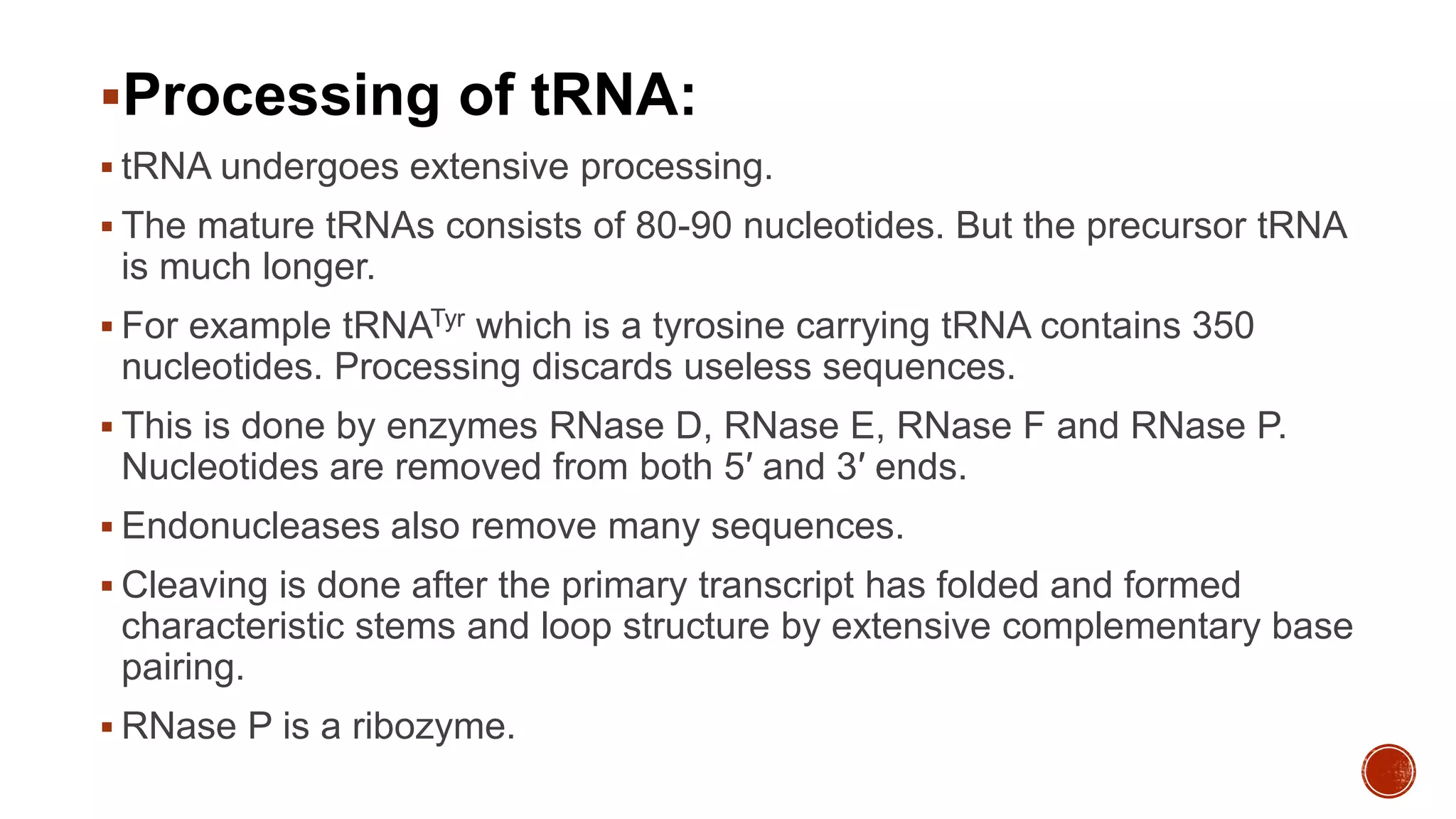 Processing of tRNA:
 tRNA undergoes extensive processing.
 The mature tRNAs consists of 80-90 nucleotides. But the precursor tRNA
is much longer.
 For example tRNATyr which is a tyrosine carrying tRNA contains 350
nucleotides. Processing discards useless sequences.
 This is done by enzymes RNase D, RNase E, RNase F and RNase P.
Nucleotides are removed from both 5′ and 3′ ends.
 Endonucleases also remove many sequences.
 Cleaving is done after the primary transcript has folded and formed
characteristic stems and loop structure by extensive complementary base
pairing.
 RNase P is a ribozyme.
 