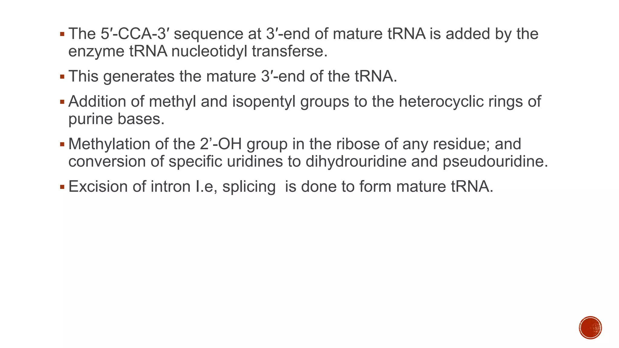  The 5′-CCA-3′ sequence at 3′-end of mature tRNA is added by the
enzyme tRNA nucleotidyl transferse.
 This generates the mature 3′-end of the tRNA.
 Addition of methyl and isopentyl groups to the heterocyclic rings of
purine bases.
 Methylation of the 2’-OH group in the ribose of any residue; and
conversion of specific uridines to dihydrouridine and pseudouridine.
 Excision of intron I.e, splicing is done to form mature tRNA.
 