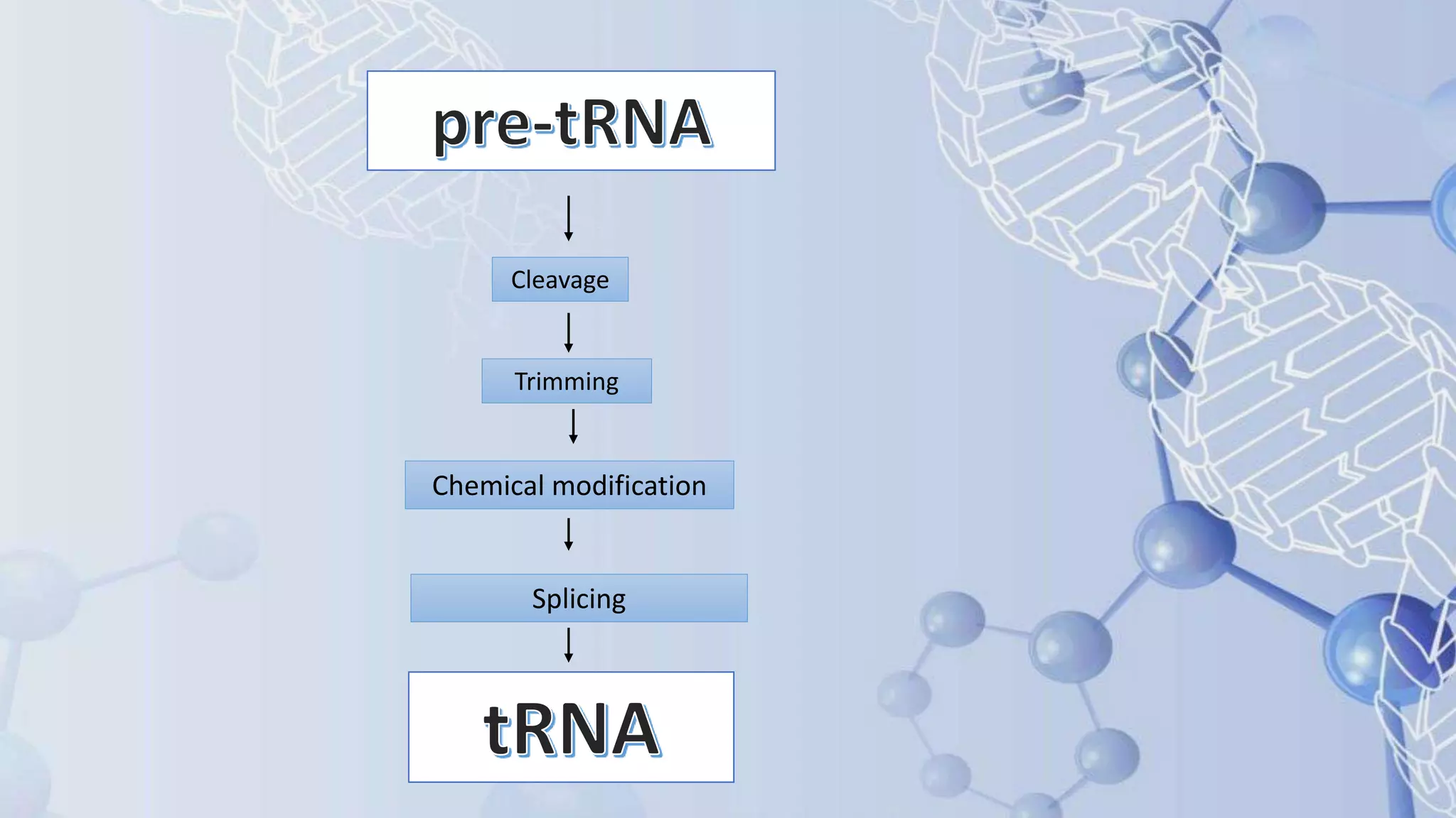 Post transcriptional modifications of tRNA and rRNA.pptx