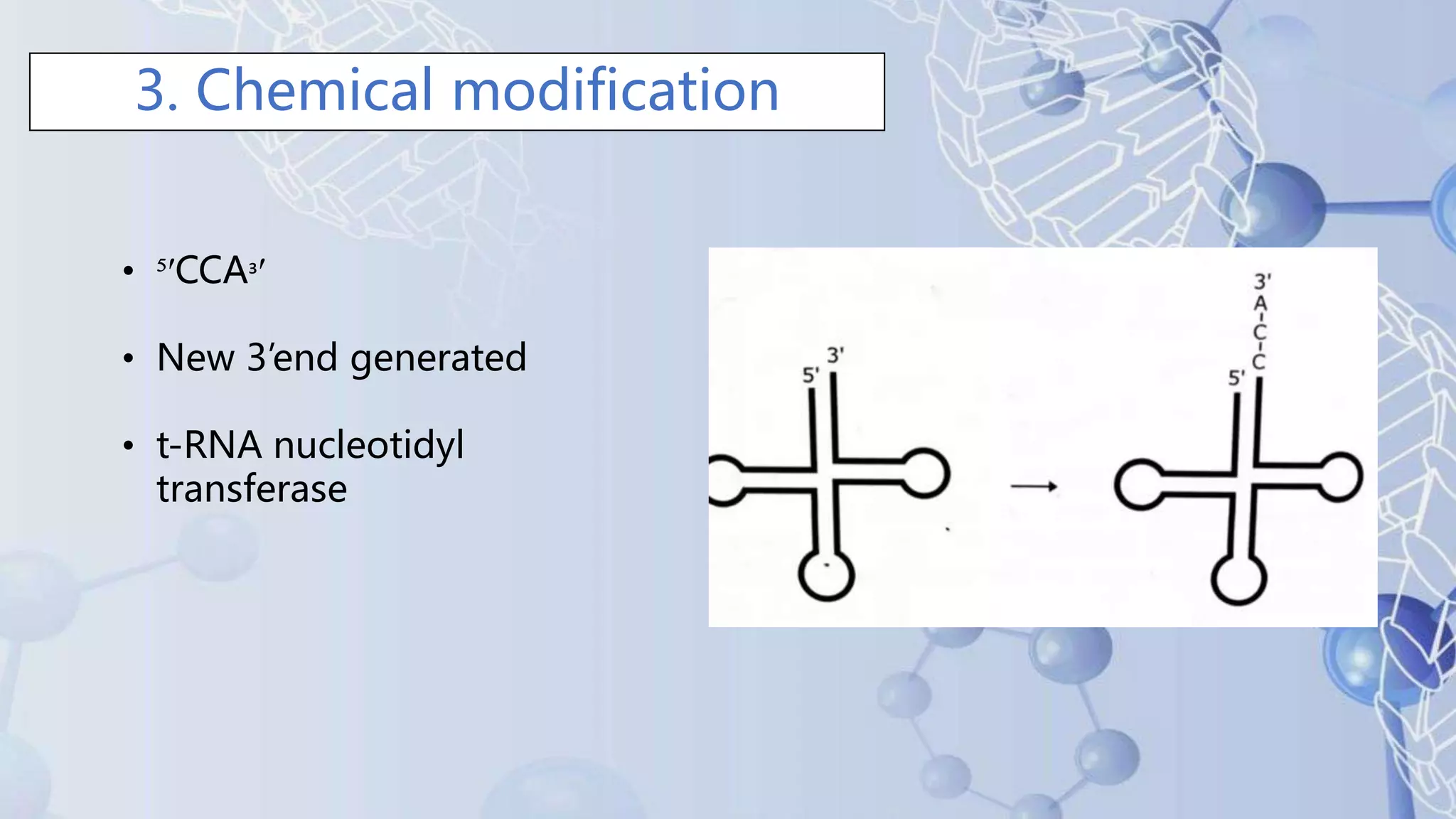 Post transcriptional modifications of tRNA and rRNA.pptx