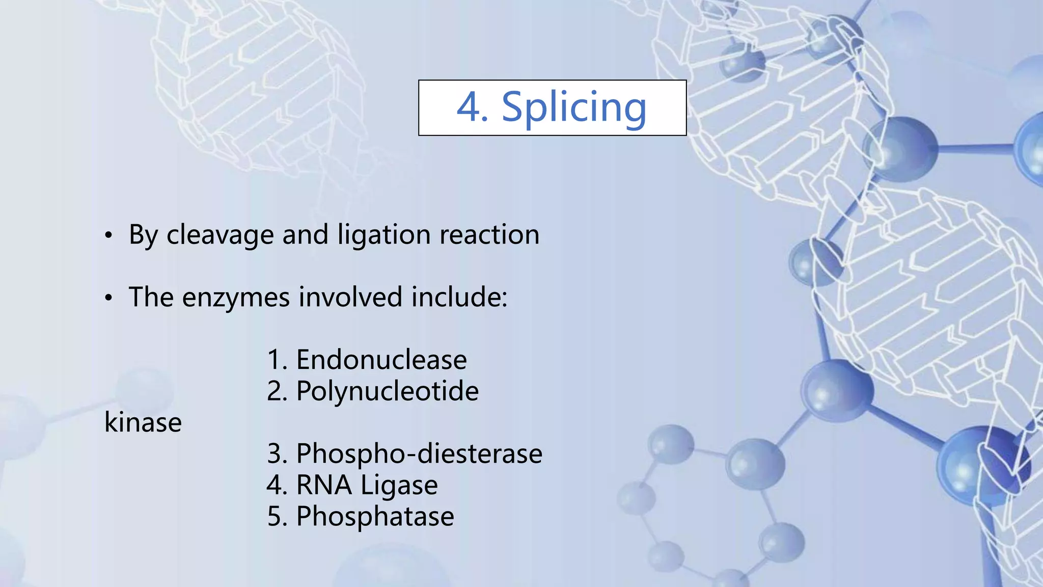 Post transcriptional modifications of tRNA and rRNA.pptx