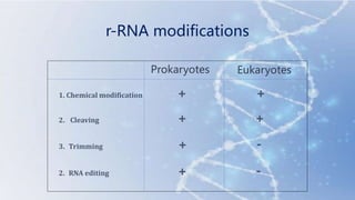 Post transcriptional modifications of tRNA and rRNA.pptx