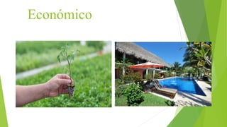Económico
 