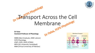 Transport across cell membrane (passive, active, vesicular)