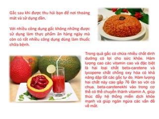 Gắc sau khi được thu hái bạn để nơi thoáng
mát và sử dụng dần.
Với nhiều công dụng gấc không những được
sử dụng làm thực phẩm ăn hàng ngày mà
còn có rất nhiều công dụng dùng làm thuốc
chữa bệnh.
Trong quả gấc có chứa nhiều chất dinh
dưỡng có lợi cho sức khỏe. Hàm
lượng cao các vitamin cao và đặc biệt
là hai loại chất beta-carotene và
lycopene chất chống oxy hóa có khả
năng dập tắt các gốc tự do. Hàm lượng
hai chất này cao gấp 76 lần so với cà
chua. beta-carotenekhi vào trong cơ
thể có thể chuyển thành vitamin A, giúp
thúc đẩy hệ thống miễn dịch khỏe
mạnh và giúp ngăn ngừa các vấn đề
về mắt.
 