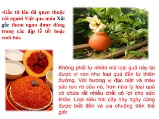-Gấc từ lâu đã quen thuộc
với người Việt qua món Xôi
gấc thơm ngon được dùng
trong các dịp lễ tết hoặc
cưới hỏi.
Không phải tự nhiên mà loại quả này lại
được ví von như loại quả đến từ thiên
đường. Với hương vị đặc biệt và màu
sắc rực rỡ của nó, hơn nữa là loại quả
có chứa rất nhiều chất có lợi cho sức
khỏe. Loại siêu trái cây này ngày càng
được biết đến và ưa chuộng trên thế
giới
 