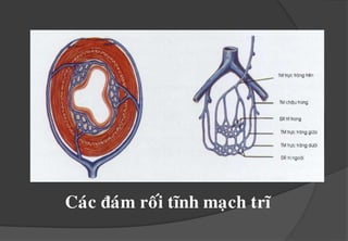 Tö theá ñöùng laâu 