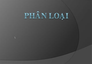 Maát van tónh maïch