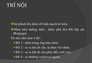 lôõdaquanhhaäumoân,chaûydòchnhaàyhaäumoân