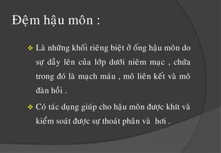 Ñeämhaäumoân :Laønhöõngkhoáirieângbieätôûoánghaäumoân do söïdaàyleâncuûalôùpdöôùinieâmmaïc , chöùatrongñoùlaømaïchmaùu , moâlieânkeátvaømoâñaønhoài .
