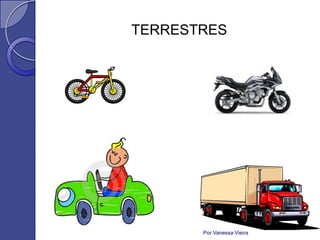 TERRESTRES




       Por Vanessa Vieira
 