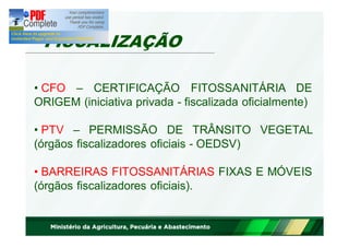 FISCALIZAÇÃO 
• CFO – CERTIFICAÇÃO FITOSSANITÁRIA DE 
ORIGEM (iniciativa privada - fiscalizada oficialmente) 
• PTV – PERMISSÃO DE TRÂNSITO VEGETAL 
(órgãos fiscalizadores oficiais - OEDSV) 
• BARREIRAS FITOSSANITÁRIAS FIXAS E MÓVEIS 
(órgãos fiscalizadores oficiais). 
 