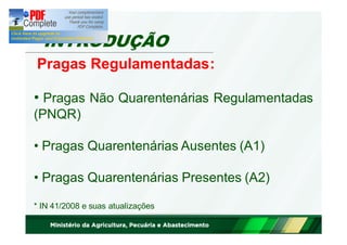 INTRODUÇÃO 
Pragas Regulamentadas: 
• Pragas Não Quarentenárias Regulamentadas 
(PNQR) 
• Pragas Quarentenárias Ausentes (A1) 
• Pragas Quarentenárias Presentes (A2) 
* IN 41/2008 e suas atualizações 
 