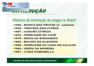 INTRODUÇÃO 
Histórico de introdução de pragas no Brasil: 
 