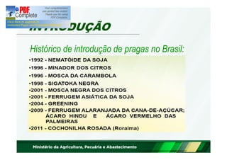 INTRODUÇÃO 
Histórico de introdução de pragas no Brasil: 
 