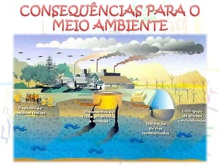 CONSEQUÊNCIAS PARA O MEIO AMBIENTEBY DANTE NAPOLI