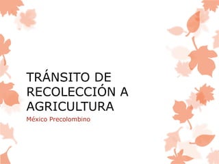 TRÁNSITO DE
RECOLECCIÓN A
AGRICULTURA
México Precolombino

 