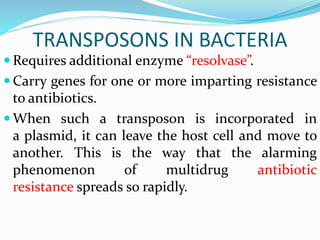TRANSPOSONS IN BACTERIA
 Requires additional enzyme “resolvase”.
 Carry genes for one or more imparting resistance
to antibiotics.
 When such a transposon is incorporated in
a plasmid, it can leave the host cell and move to
another. This is the way that the alarming
phenomenon of multidrug antibiotic
resistance spreads so rapidly.
 