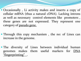  Occasionally , Li activity makes and inserts a copy of
cellular mRNA (thus a natural cDNA). Lacking introns
as well as necessary control elements like promoters ,
these genes are not expressed. They represent one
category of pseudo gene.
 Through this copy mechanism , the no: of Lines can
increase in the genome.
 The diversity of Lines between individual human
genomes makes them useful markers for DNA
“fingerprinting” .
 