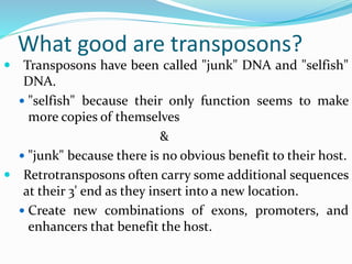 What good are transposons?
 Transposons have been called "junk" DNA and "selfish"
DNA.
 "selfish" because their only function seems to make
more copies of themselves
&
 "junk" because there is no obvious benefit to their host.
 Retrotransposons often carry some additional sequences
at their 3' end as they insert into a new location.
 Create new combinations of exons, promoters, and
enhancers that benefit the host.
 