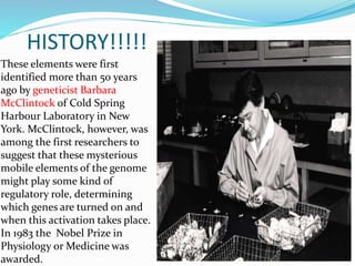 HISTORY!!!!!
These elements were first
identified more than 50 years
ago by geneticist Barbara
McClintock of Cold Spring
Harbour Laboratory in New
York. McClintock, however, was
among the first researchers to
suggest that these mysterious
mobile elements of the genome
might play some kind of
regulatory role, determining
which genes are turned on and
when this activation takes place.
In 1983 the Nobel Prize in
Physiology or Medicine was
awarded.
 