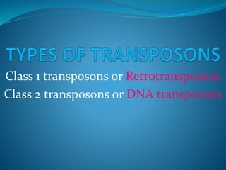 Class 1 transposons or Retrotransposons
Class 2 transposons or DNA transposons
 