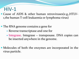 HIV-1
 Cause of AIDS & other human retroviruses(e.g.,HTLV-
1,the human T-cell leukaemia or lymphoma virus)
 The RNA genome contains a gene for
 Reverse transcriptase and one for
 Integrase. Integrase ~ transposase. DNA copies can
be inserted anywhere in the genome.
 Molecules of both the enzymes are incorporated in the
virus particle.
 