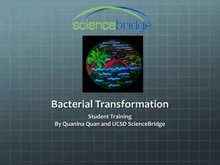 Bacterial Transformation
            Student Training
By Quanina Quan and UCSD ScienceBridge
 
