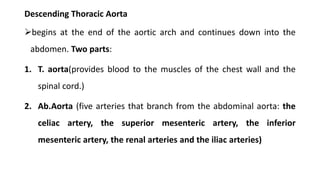 Descending Thoracic Aorta
begins at the end of the aortic arch and continues down into the
abdomen. Two parts:
1. T. aort...