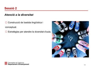 Identificació del departament o organisme
Sessió 2
Atenció a la diversitat
13
 Construcció de bastida lingüística i
conceptual.
 Estratègies per atendre la diversitat d’aula.
 