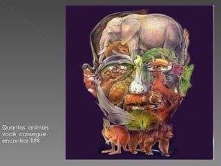 Quantos  animais  você  consegue  encontrar ??? 