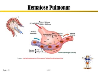 Hematose Pulmonar




            Imagens: http://www.sobiologia.com.br/conteudos/FisiologiaAnimal/respiracao5.php




Page  19                                                      IL 2011
 