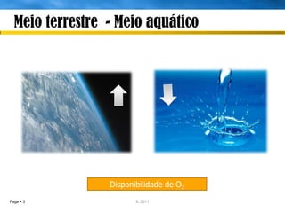 Meio terrestre - Meio aquático




                 Disponibilidade de O2
Page  3                IL 2011
 
