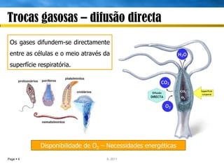 Trocas gasosas – difusão directa
 Os gases difundem-se directamente
 entre as células e o meio através da
 superfície respiratória.




             Disponibilidade de O2 – Necessidades energéticas
Page  4                            IL 2011
 