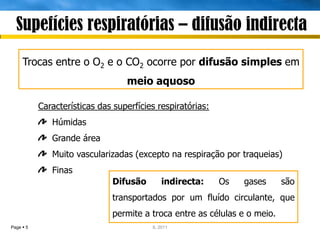 Supefícies respiratórias – difusão indirecta
     Trocas entre o O2 e o CO2 ocorre por difusão simples em
                                  meio aquoso

           Características das superfícies respiratórias:
              Húmidas
              Grande área
              Muito vascularizadas (excepto na respiração por traqueias)
              Finas
                              Difusão        indirecta:     Os   gases     são
                              transportados por um fluído circulante, que
                              permite a troca entre as células e o meio.
Page  5                                 IL 2011
 