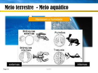 Meio terrestre - Meio aquático

                      Manterem a humidade




           externas                         internas
Page  6                     IL 2011
 