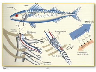 Page  9   IL 2011
 