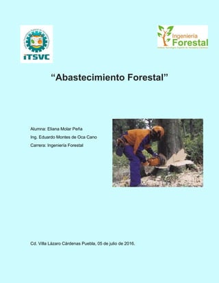 “Abastecimiento Forestal”
Alumna: Eliana Molar Peña
Ing. Eduardo Montes de Oca Cano
Carrera: Ingeniería Forestal
Cd. Villa Lázaro Cárdenas Puebla, 05 de julio de 2016.
 