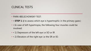 Trochlear & Abducens Nerve | PPTX