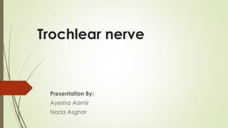 Trochlear nerve
Presentation By:
Ayesha Aamir
Nazia Asghar
 