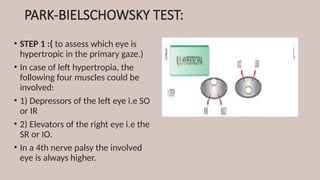 PARK-BIELSCHOWSKY TEST:
• STEP 1 :( to assess which eye is
hypertropic in the primary gaze.)
• In case of left hypertropia, the
following four muscles could be
involved:
• 1) Depressors of the left eye i.e SO
or IR
• 2) Elevators of the right eye i.e the
SR or IO.
• In a 4th nerve palsy the involved
eye is always higher.
 