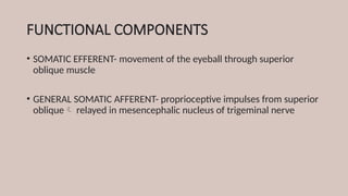 FUNCTIONAL COMPONENTS
• SOMATIC EFFERENT- movement of the eyeball through superior
oblique muscle
• GENERAL SOMATIC AFFERENT- proprioceptive impulses from superior
oblique relayed in mesencephalic nucleus of trigeminal nerve
 