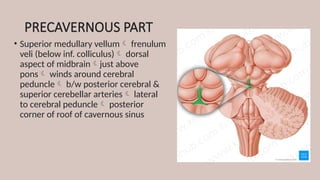 PRECAVERNOUS PART
• Superior medullary vellum frenulum
veli (below inf. colliculus) dorsal
aspect of midbrainjust above
pons winds around cerebral
peduncle b/w posterior cerebral &
superior cerebellar arteries lateral
to cerebral peduncle posterior
corner of roof of cavernous sinus
 