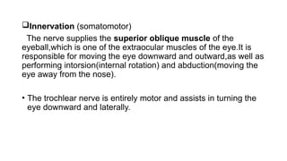trochlear nerve( Cranial Nerve IV)group 3.pptx