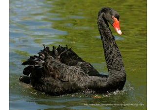 Rev PA1   2009-03-02   3
                           http://www.flickr.com/photos/16180154@N07/4637351064/
 