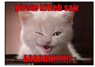 Rev PA1   2009-03-02   44
 