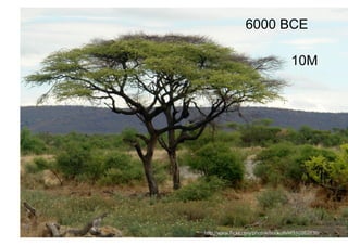 6000 BCE

                                                               10M




Rev PA1   2009-03-02   5
                           http://www.flickr.com/photos/buckofive/310262836/
 