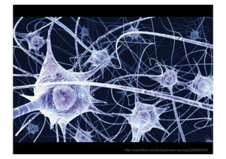 Rev PA1   2009-03-02   53   http://www.flickr.com/photos/lorelei-ranveig/2294885420/
 